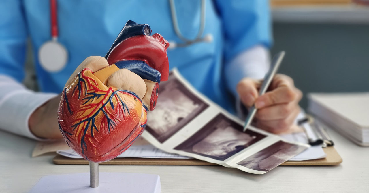 New Brunswick Cardiology Group Cardiologist reviews heart model and ultrasound images with patient
